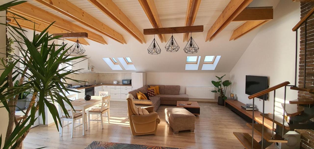 Hoobee Home & Rooftop Terrace Târgu-Mureş Esterno foto