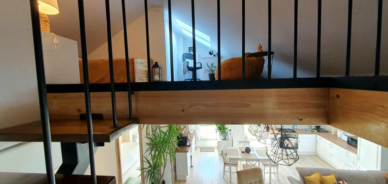 Hoobee Home & Rooftop Terrace Târgu-Mureş Esterno foto