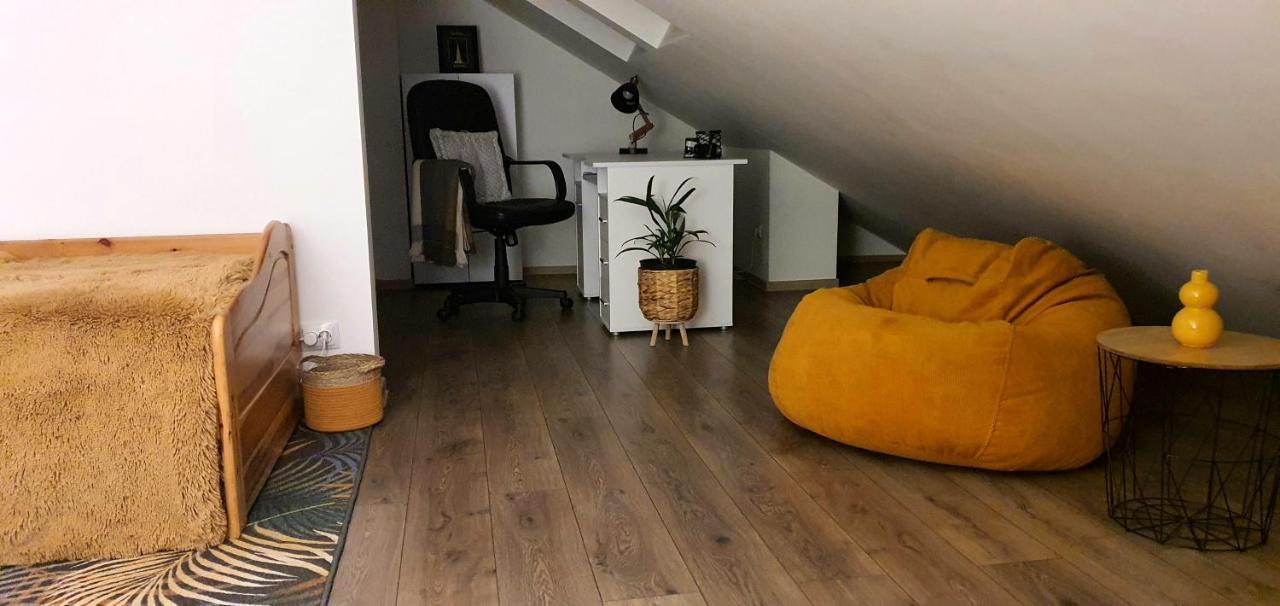 Hoobee Home & Rooftop Terrace Târgu-Mureş Esterno foto