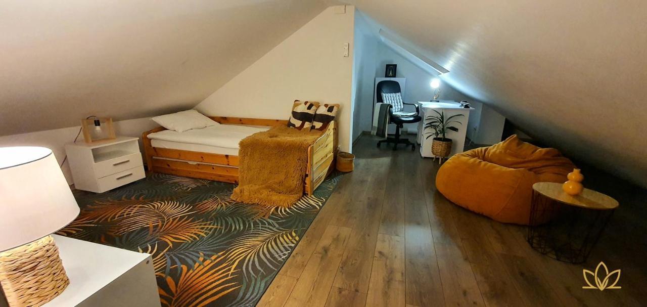 Hoobee Home & Rooftop Terrace Târgu-Mureş Esterno foto